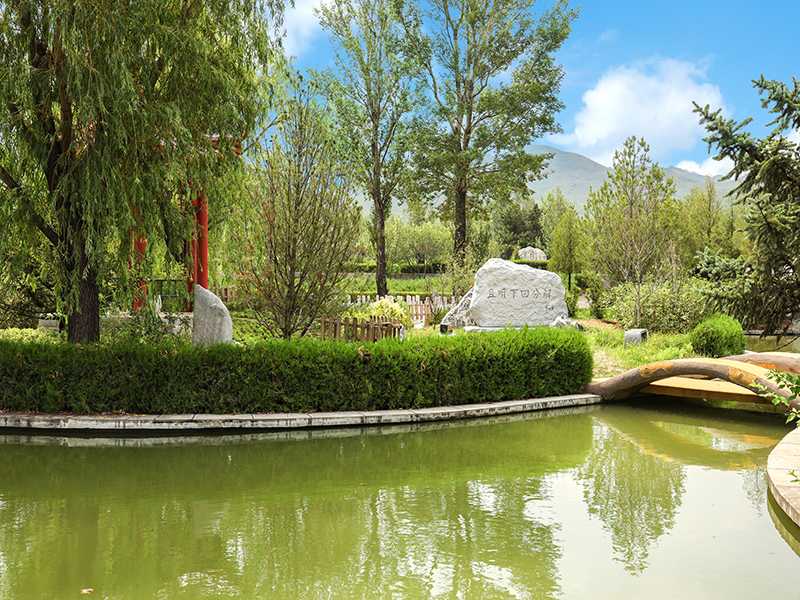 如何架设灵床(灵床有什么讲究吗) 如何架设灵床(灵床有什么讲究吗)