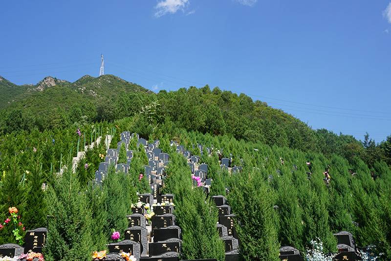 最简单最有效的选墓方式是什么(如今还有大师选墓吗) 最简单最有效的选墓方式是什么(如今还有大师选墓吗)